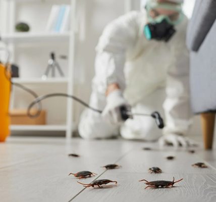 Why Baton Rouge Properties Need Year-Round Pest, Termite, and Rodent Protection
