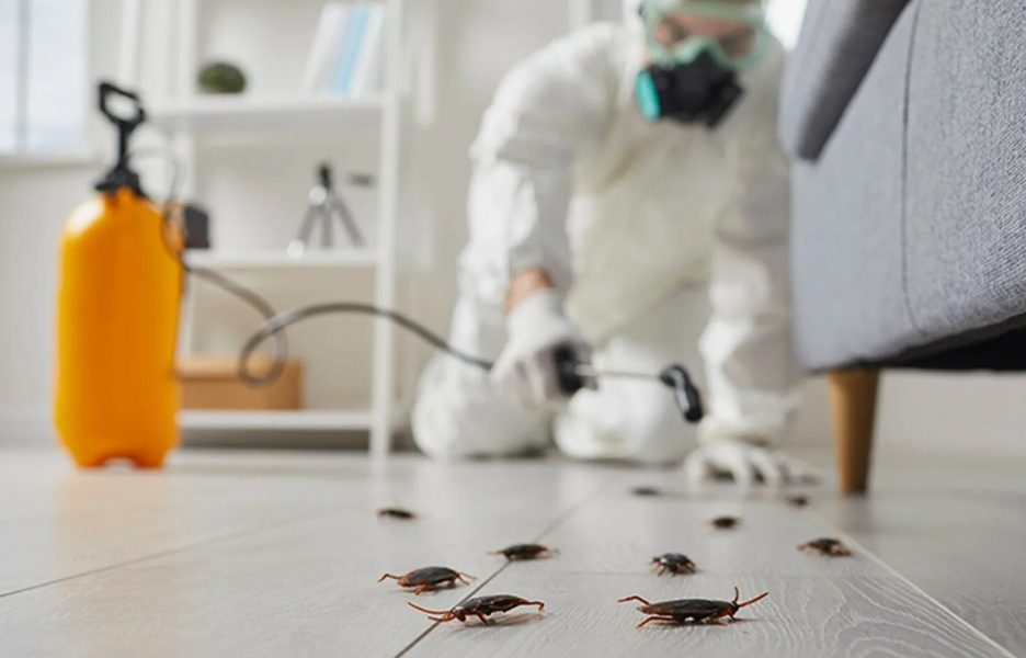 Why Baton Rouge Properties Need Year-Round Pest, Termite, and Rodent Protection
