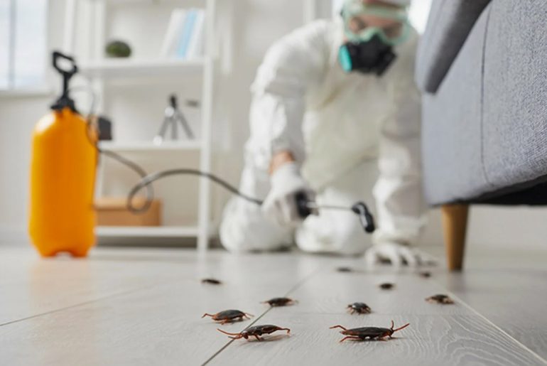 Why Baton Rouge Properties Need Year-Round Pest, Termite, and Rodent Protection