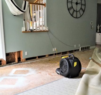 Commercial Water Damage Restoration Services for Restaurants: Meeting Hygiene and Health Standards