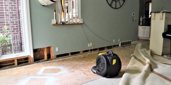 Commercial Water Damage Restoration Services for Restaurants: Meeting Hygiene and Health Standards
