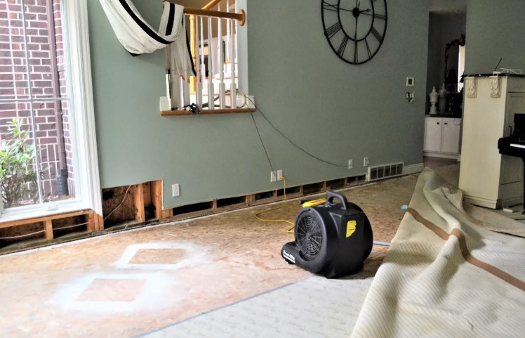Commercial Water Damage Restoration Services for Restaurants: Meeting Hygiene and Health Standards
